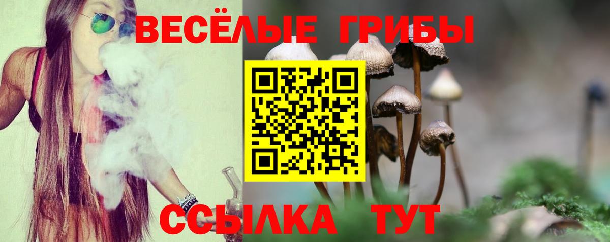Псилоцибиновые грибы мицелий  Вход с VPN  Кинешма  закладка  Псилоцибиновые грибы GOLDEN TEACHER 